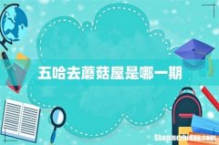 五哈去蘑菇屋是哪一期