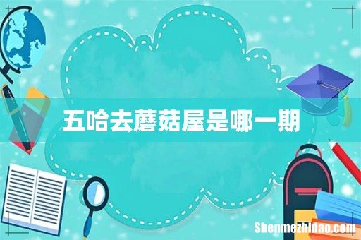 五哈去蘑菇屋是哪一期
