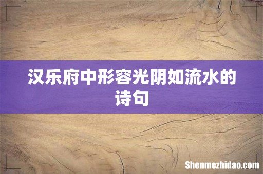 汉乐府中形容光阴如流水的诗句