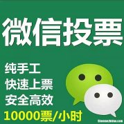 投票人工平台哪个好一点价格多少钱一票