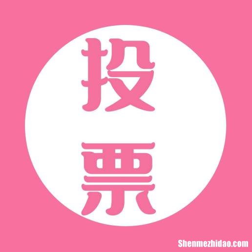 投票人工平台哪个好一点价格多少钱一票