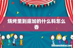 烧烤里到底加的什么料怎么香