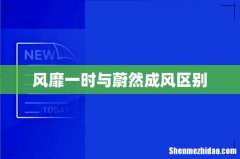 风靡一时与蔚然成风区别