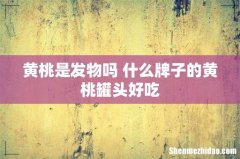 黄桃是发物吗 什么牌子的黄桃罐头好吃