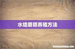 水培蘑菇养殖方法