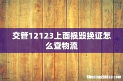 交管12123上面损毁换证怎么查物流