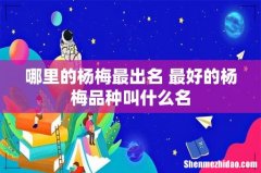 哪里的杨梅最出名 最好的杨梅品种叫什么名