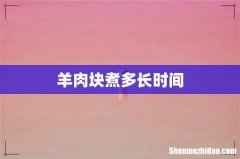 羊肉块煮多长时间