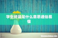 学生终端是什么意思通俗易懂