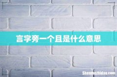 言字旁一个且是什么意思