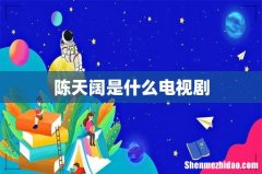 陈天阔是什么电视剧