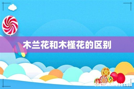 木兰花和木槿花的区别