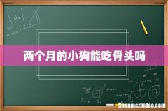 两个月的小狗能吃骨头吗