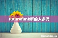 futurefunk听的人多吗