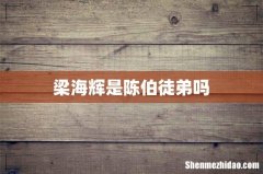 梁海辉是陈伯徒弟吗