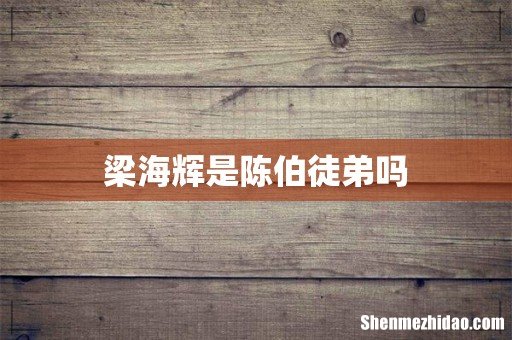 梁海辉是陈伯徒弟吗