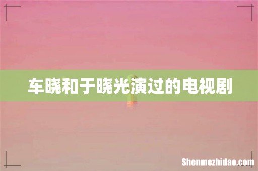 车晓和于晓光演过的电视剧