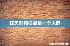 任天野和任晶是一个人吗