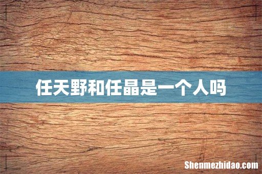 任天野和任晶是一个人吗