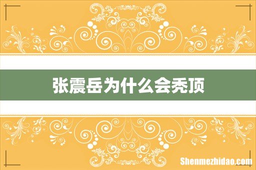 张震岳为什么会秃顶