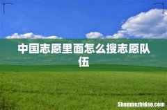 中国志愿里面怎么搜志愿队伍