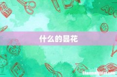 什么的昙花