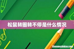 松鼠转圈转不停是什么情况