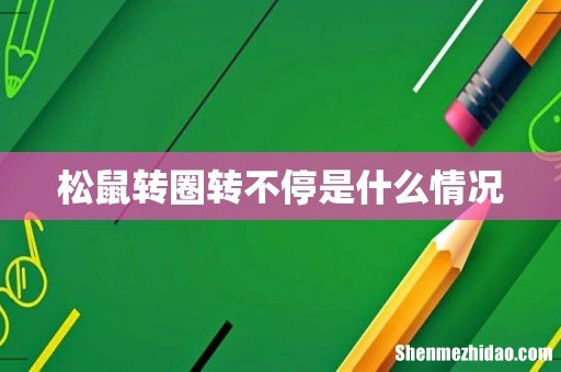 松鼠转圈转不停是什么情况