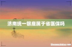 济南统一银座属于省医保吗