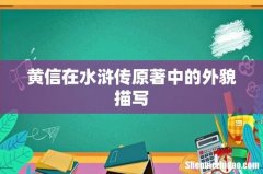 黄信在水浒传原著中的外貌描写