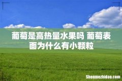葡萄是高热量水果吗 葡萄表面为什么有小颗粒