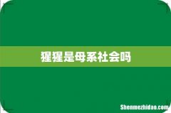 猩猩是母系社会吗