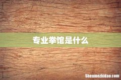 专业拳馆是什么