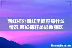 西红柿外面红里面籽绿什么情况 西红柿籽是绿色能吃吗