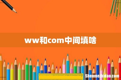 ww和com中间填啥