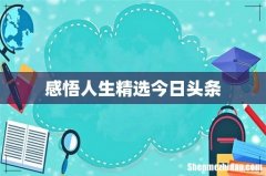 感悟人生精选今日头条
