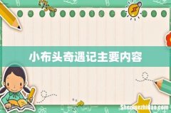 小布头奇遇记主要内容