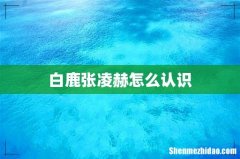 白鹿张凌赫怎么认识