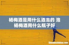 杨梅酒是用什么酒泡的 泡杨梅酒用什么瓶子好