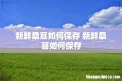 新鲜桑葚如何保存 新鲜桑葚如何保存