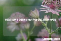 微信刷投票平台在线价格多少钱 微信刷投票的网站