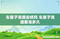 车厘子泡酒去核吗 车厘子泡酒要泡多久