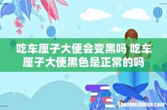 吃车厘子大便会变黑吗 吃车厘子大便黑色是正常的吗