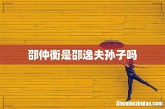 邵仲衡是邵逸夫孙子吗