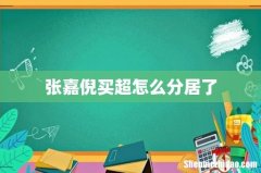 张嘉倪买超怎么分居了