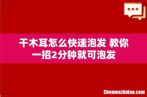 干木耳怎么快速泡发 教你一招2分钟就可泡发