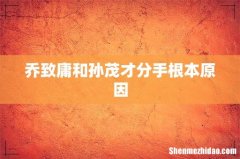 乔致庸和孙茂才分手根本原因