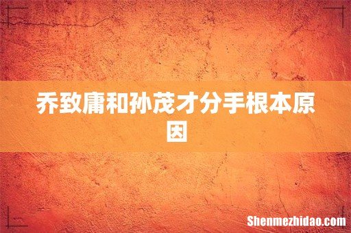 乔致庸和孙茂才分手根本原因