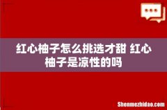 红心柚子怎么挑选才甜 红心柚子是凉性的吗