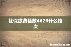社保缴费基数4628什么档次